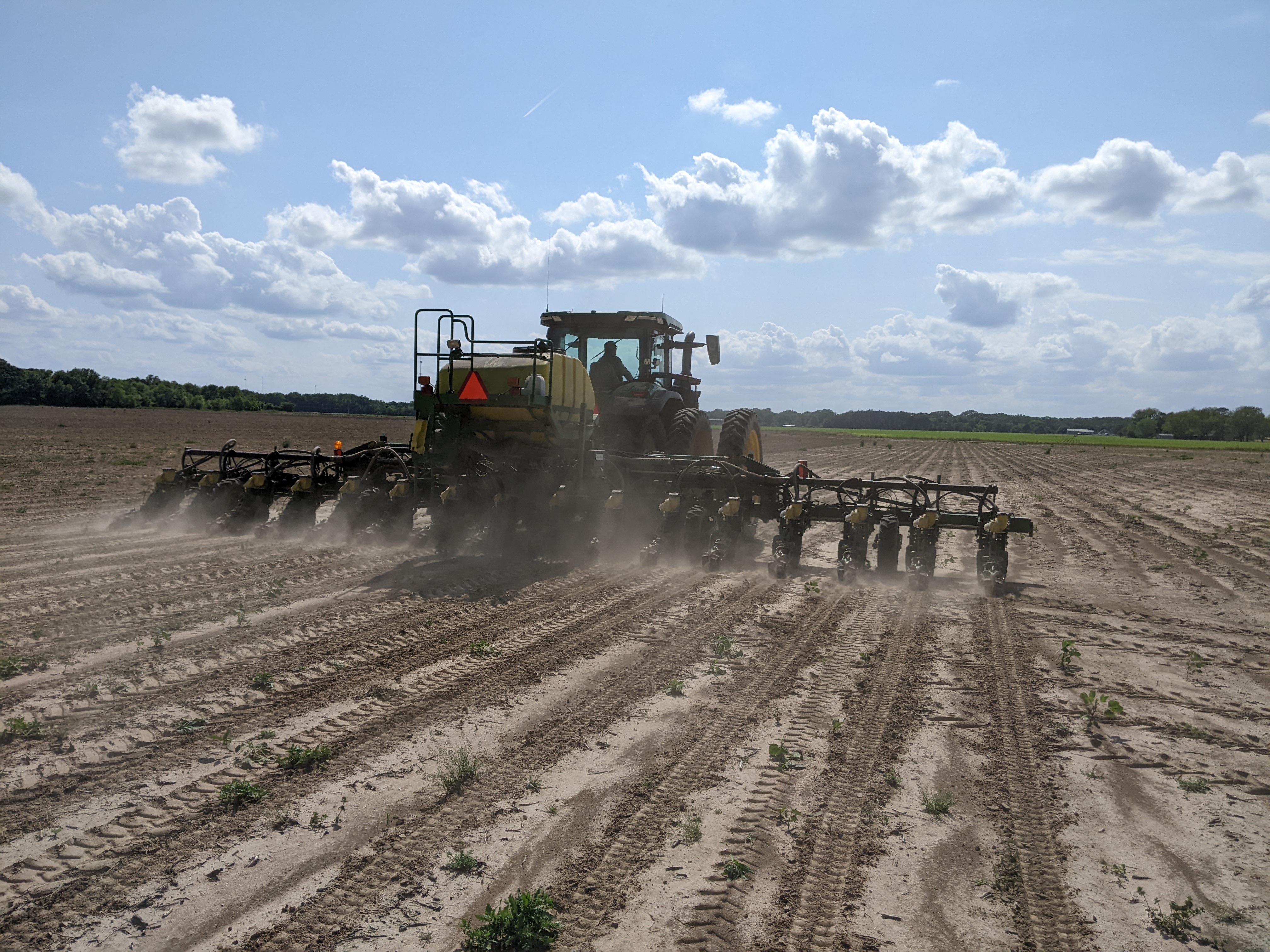 LSU AgCenter Conducts Soybean Variety Trials and On-farm demonstrations